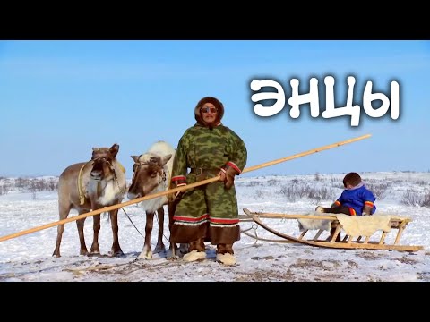 Видео: Народ, говорящий на одном из редчайших языков мира. Как живут ЭНЦЫ