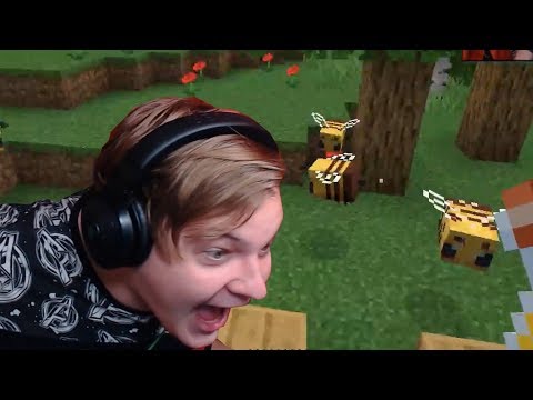 Видео: ПЯТЁРКА ЖЕСТКА ОТРЕАГИРОВАЛ НА ДОБАВЛЕНИЕ ПЧЁЛ В МАЙНКРАФТ 1.15!!!