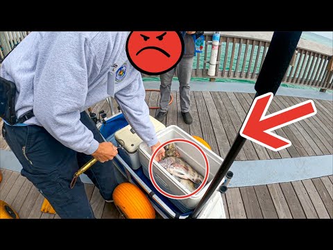 Видео: Егерь проверил мой холодильник, поймав ЭТО!