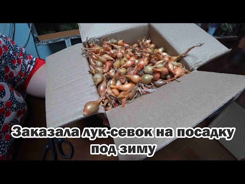 Видео: Распаковка товаров с маркетплейсов: лук-севок под зиму, семена моркови, лента-корректор, 3D-ручка
