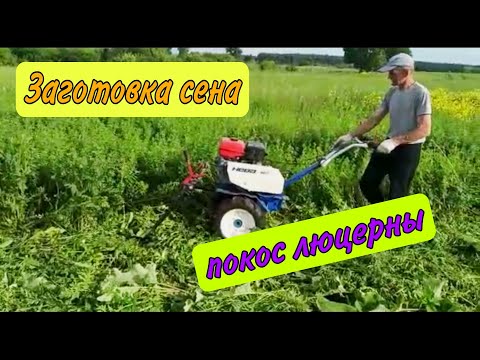 Видео: Заготовка сена. Косим Люцерну.