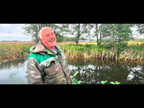 Видео: Продаётся Хутор в Брестской области, Столинский район, деревня Белоуша. За 15000 долларов.