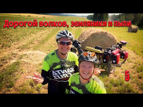Видео: Дорогой волков, земляники и пыли. Пятая серия.