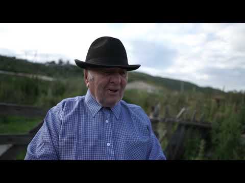 Видео: Страницы истории. Схауат (16.12.2019)