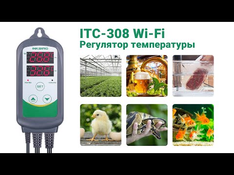 Видео: Регулятор температуры INKBIRD ITC 308 WIFI  Выпуск №676