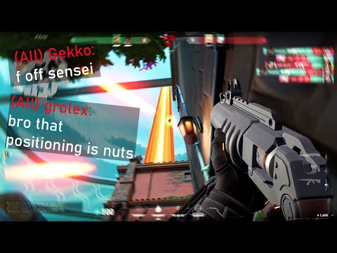 Видео: "брим, ты самая большая крыса"