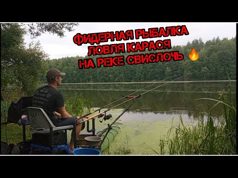 Видео: Фидерная рыбалка , ловля карася  на реке Свислочь 🔥