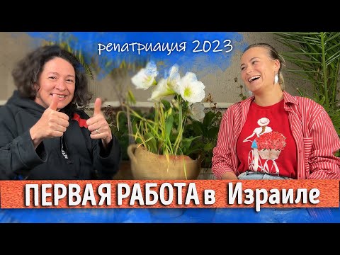 Видео: КАК найти первую работу? Репатриация 2023