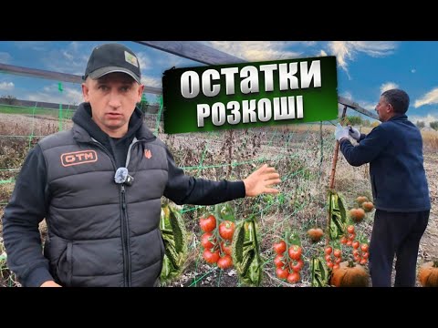 Видео: 🇺🇦Наводим порядок на ГОРОДІ! Мульчеєм, пиляєм! Заорюєм кукурузиння щоб не палити