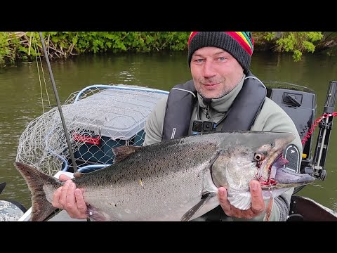 Видео: Ловим чавычу на р. Большая. Сезон 2025. Часть 2.