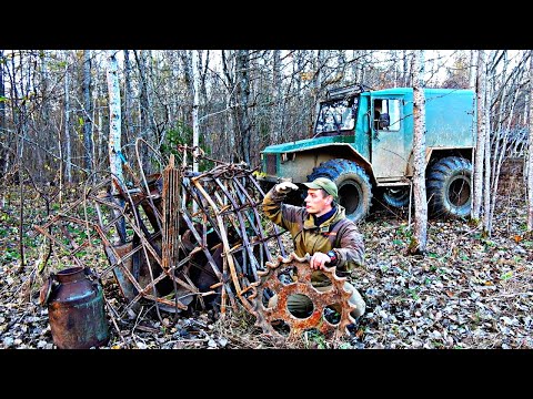 Видео: Нашёл тонны металла рядом с "МЕДВЕЖЬЕЙ БЕРЛОГОЙ". МЕДВЕДЬ БЛИЗКО! ЗАПЧАСТИ ОТ ДТ-75 ПО-ВСЮДУ!