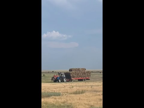 Видео: Прицеп-платформа для рулонов сена Metal-Fach t009 (производство Польша). Казахстан, Актюбинская обл.