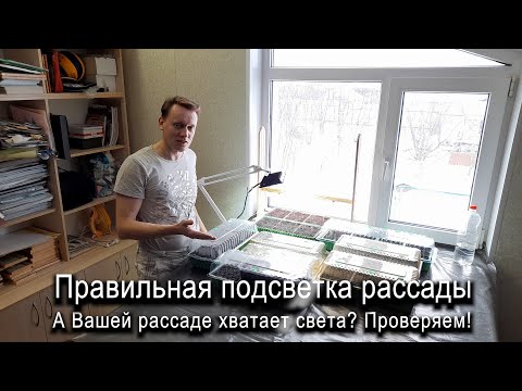 Видео: Правильная подсветка рассады. Как проверить, достаточно ли света вашей рассаде? #ТриЭкоОгород
