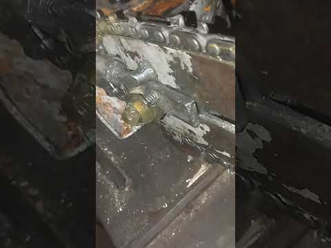 Видео: 31 октября 2025 г.