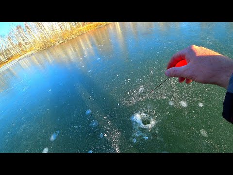 Видео: ВЫШЕЛ на ПЕРВЫЙ ЛЁД ! ВСЁ ТРЕЩИТ, ХРУСТИТ и ВОТ ОНА РЫБА!