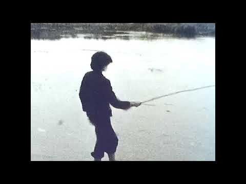 Видео: Село Шестаково. Воронежская область. 1978 год.