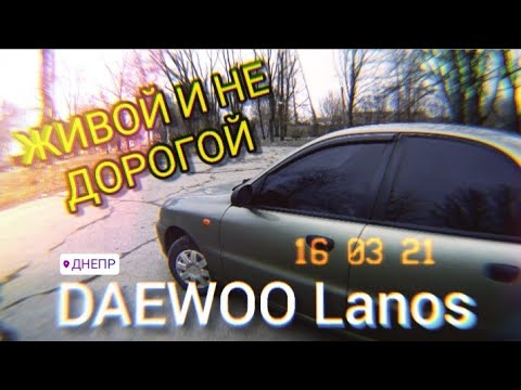 Видео: Живой не дорогой ланос. Как купить, где купить. как забронировать авто. Скоро в продаже Deawoo Lanos