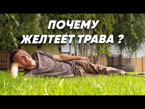 Видео: ПОЧЕМУ ЖЕЛТЕЕТ ГАЗОН? Что делать если газон пожелтел?