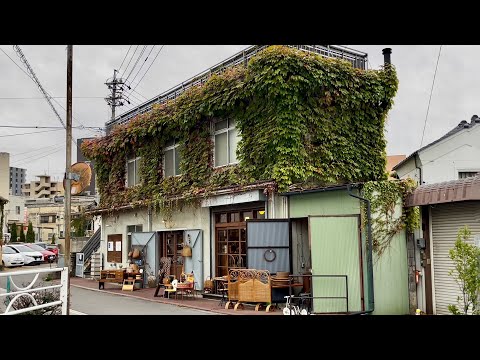 Видео: Прогулка по Янагимати, Уэда, Нагано, Япония [4K HDR]