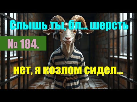 Видео: № 184. Спасибо всем. Я в шоке от просмотров. Старый знакомый дебил. +Бонус. Мало кто видел.#прикол