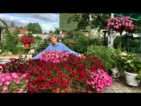 Видео: 😍В гостях  у сказки😍