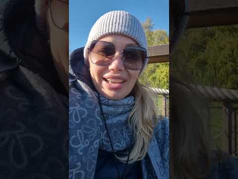 Видео: И Опять в Круиз/ Хорошие и Ужасные Теплоходы Компании Водоход/Георгий Чичерин/ Леонид Соболев/