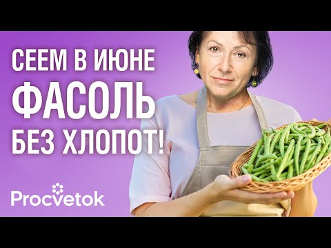 Видео: СМЕЛО СЕЙТЕ В ИЮНЕ! Фасоль взойдет быстро и дружно и порадует хорошим урожаем, если посеете ее так