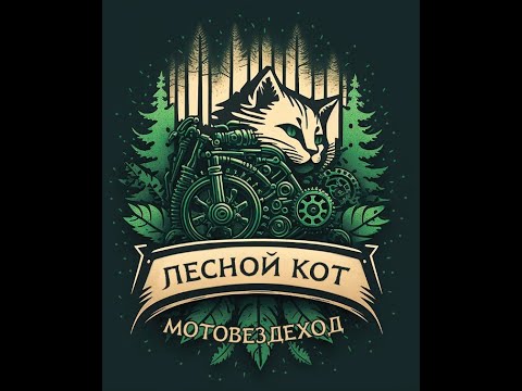 Видео: Лесной Кот - Мотовездеход за 50 тысяч рублей.