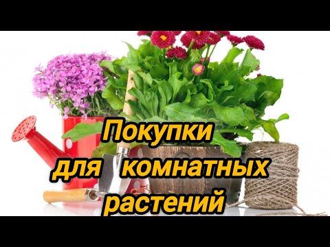 Видео: Покупки для комнатных растений