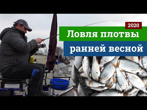 Видео: Ловля плотвы на фидер.  Артемовская дамба.