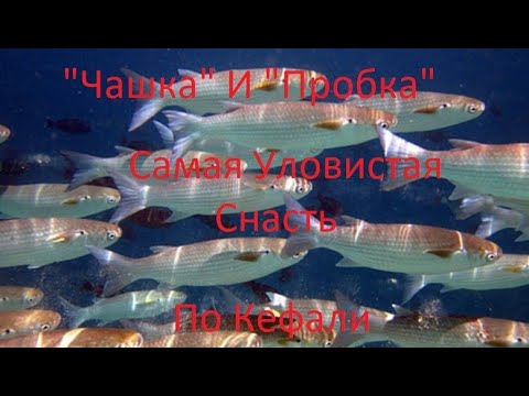 Видео: Как из снасти "СОСКА" на карася сделать снасть "ЧАШКА", "ПРОБКА" на кефаль