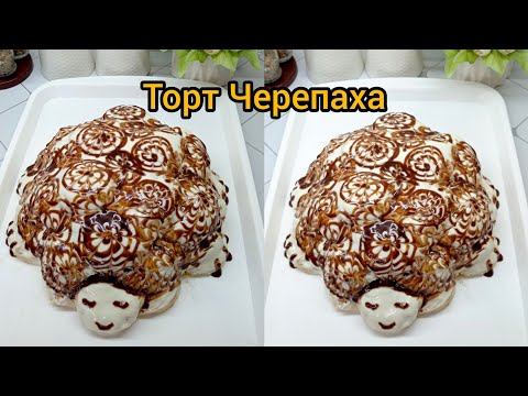 Видео: Тарзи тайёр кардани торти ЧЕРЕПАХА🐢