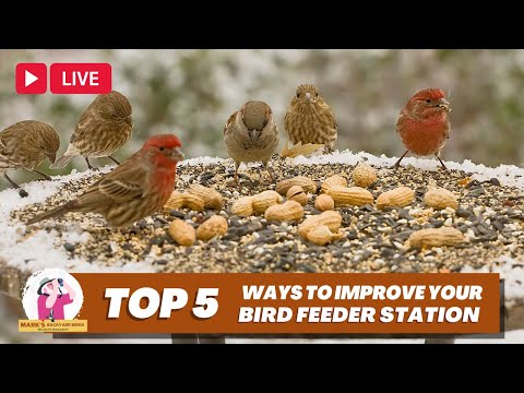 Видео: Пять (или около того) лучших способов улучшить вашу станцию ​​питания