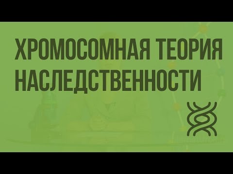 Видео: Хромосомная теория наследственности. Видеоурок по биологии 10 класс