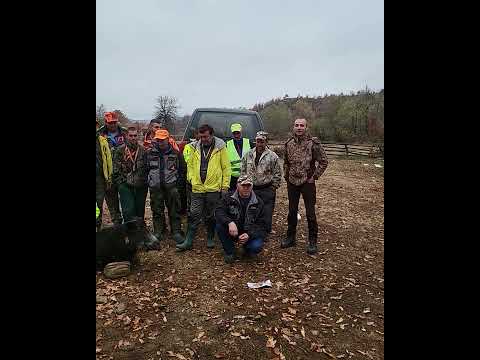 Видео: 12 ноември 2022 г.