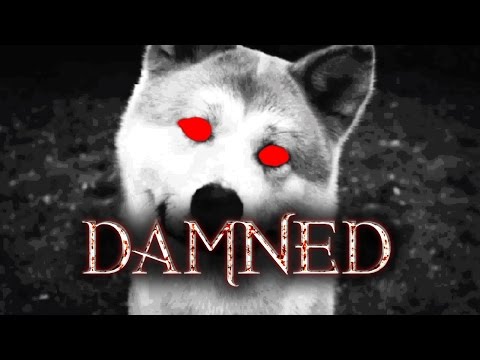 Видео: РЕЖИМ "ХАТИКО" (Damned)
