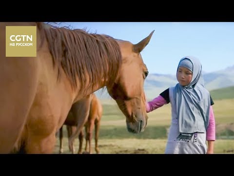 Видео: Новое путешествие по Шелковому пути Серия 1 Не угасающие мечты[Age0+]