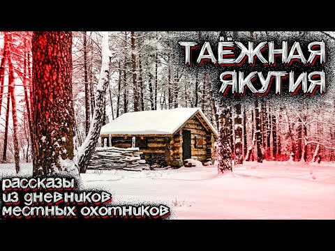 Видео: Неразгаданные Тайны Якутской Тайги. Рассказы местных охотников | Страшные Истории на ночь