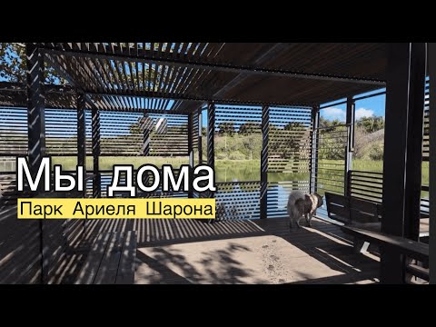 Видео: Парк Ариеля Шарона