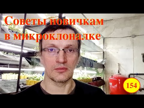 Видео: [154] Советы новичкам в микроклоналке. Чем я могу помочь вам. Показываю наши саженцы в горшках Р9