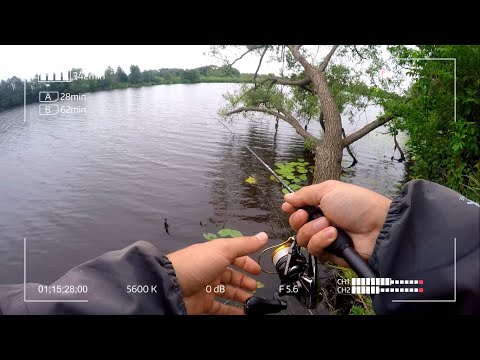 Видео: Мормышинг или микроджиг. Что предпочтёт рыба на реке Дубна в конце июня?