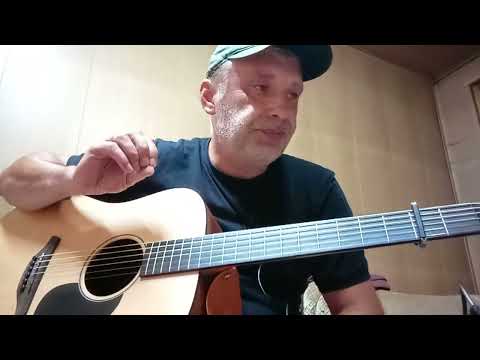 Видео: Валерий Залкин. одинокая ветка сирени. кавер. разбор.