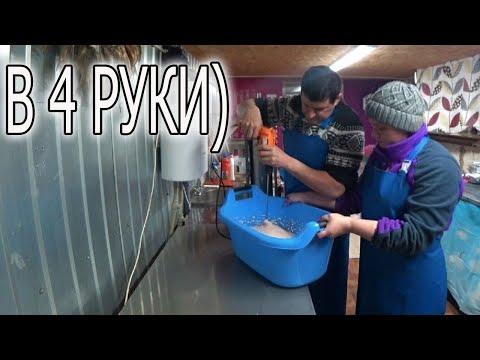 Видео: СОСИСКИ ИЗ КУРИЦЫ.  ВЫБРАЛСЯ НА ВИНОГРАДНИК
