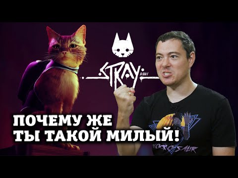 Видео: Обзор Stray - Снятся ли котикам электролюди? I Битый Пиксель