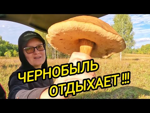 Видео: КУПИЛИ ДОМ В ДЕРЕВНЕ | Чернобыль отдыхает | Дом в деревне | Деревенская жизнь
