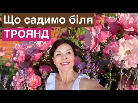 Видео: Найгарніші стійкі троянди на новій ділянці. Магія рослин