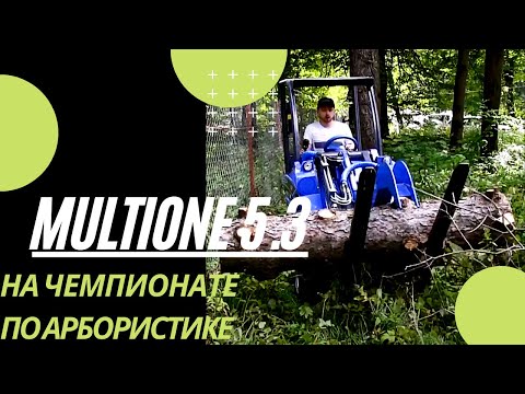 Видео: Multione 5.3 Демонстрация на Чемпионате по арбористике