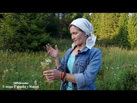 Видео: КАКИЕ ТРАВЫ СОБИРАЮТ ИЮЛЬ - АВГУСТ /КАКИЕ ТРАВЫ ОТПУГНУТ МУХ