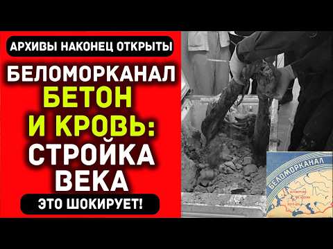 Видео: БЕСПОЛЕЗНЫЙ канал за 250 000 жизней. Зачем это было нужно?