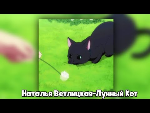 Видео: Наталья Ветлицкая–Лунный Кот || Speed Up😼